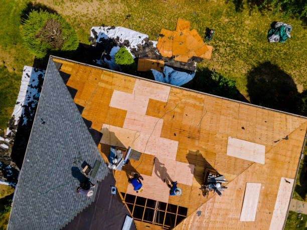 Best Roof Maintenance Services  in Branchville, SC